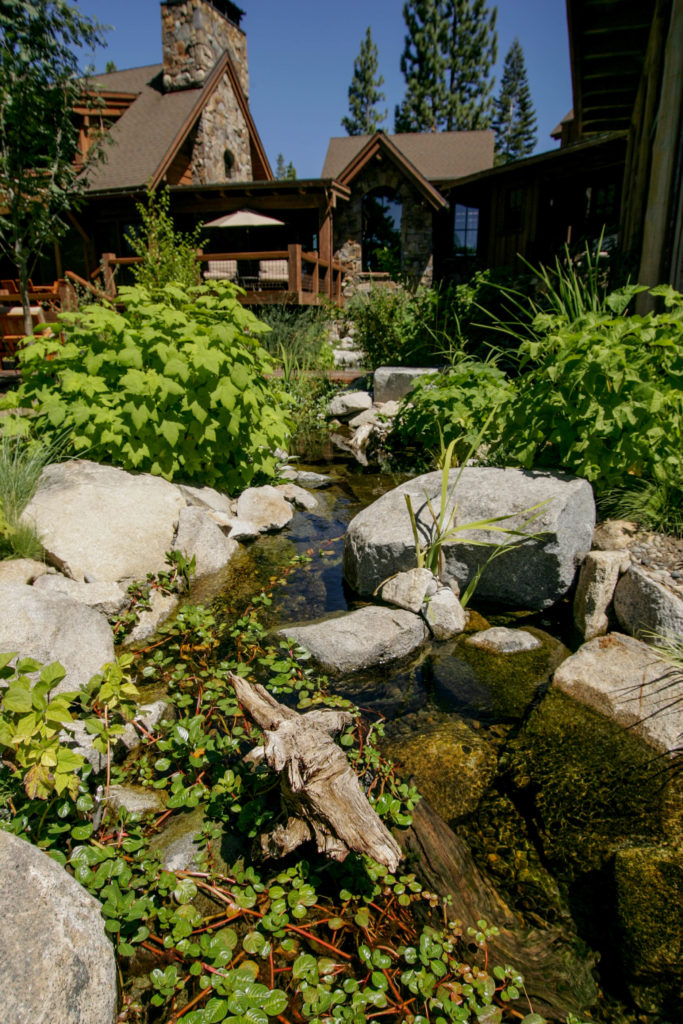 Naturalized Waterfeature