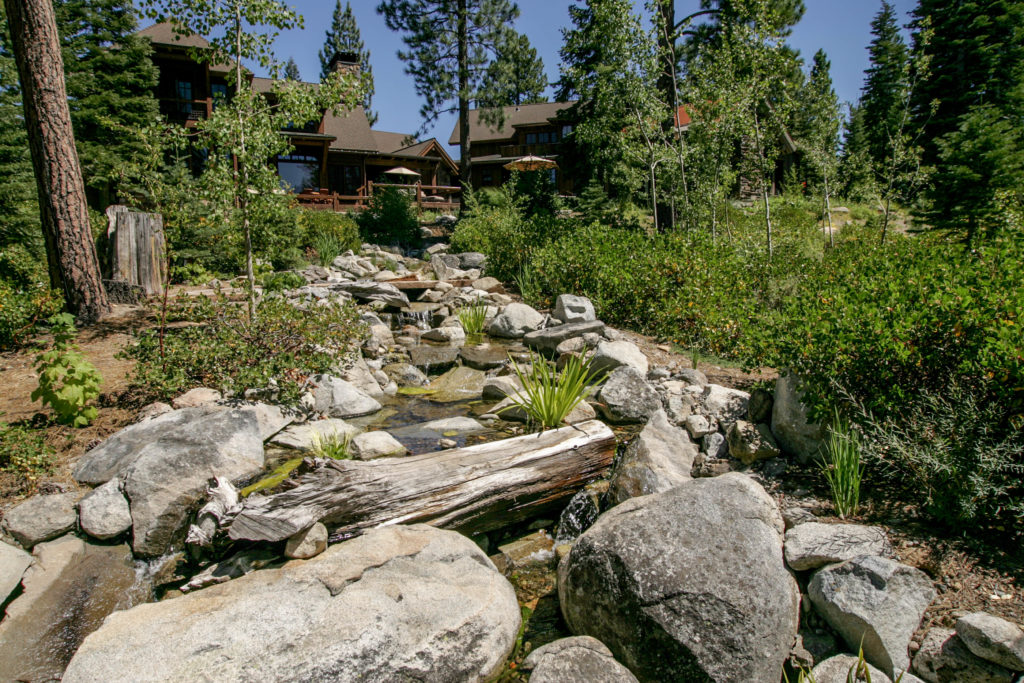 Naturalized Waterfeature