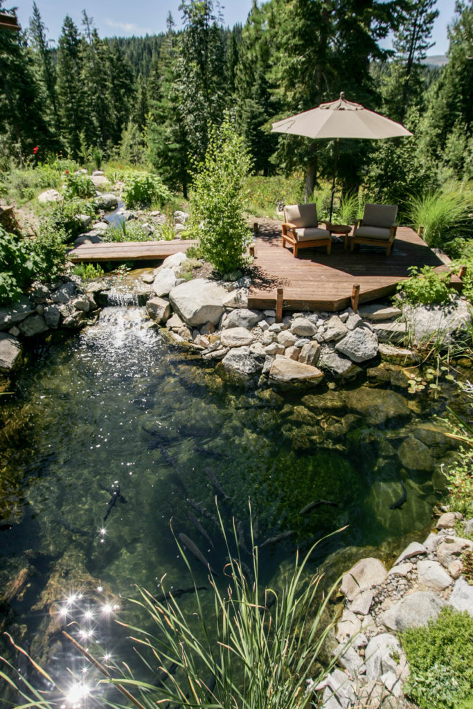 Naturalized Waterfeature